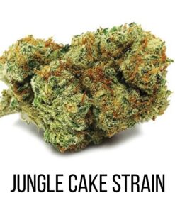 Jungle Cake Marijuana Strain