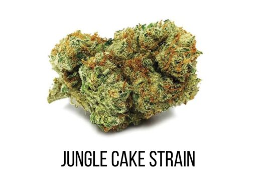 Jungle Cake Marijuana Strain